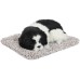 VOILA Sleeping Cute Dog for Car Dashboard and Home Decor with Activated Carbon for Decoration Toy Decorative Showpiece